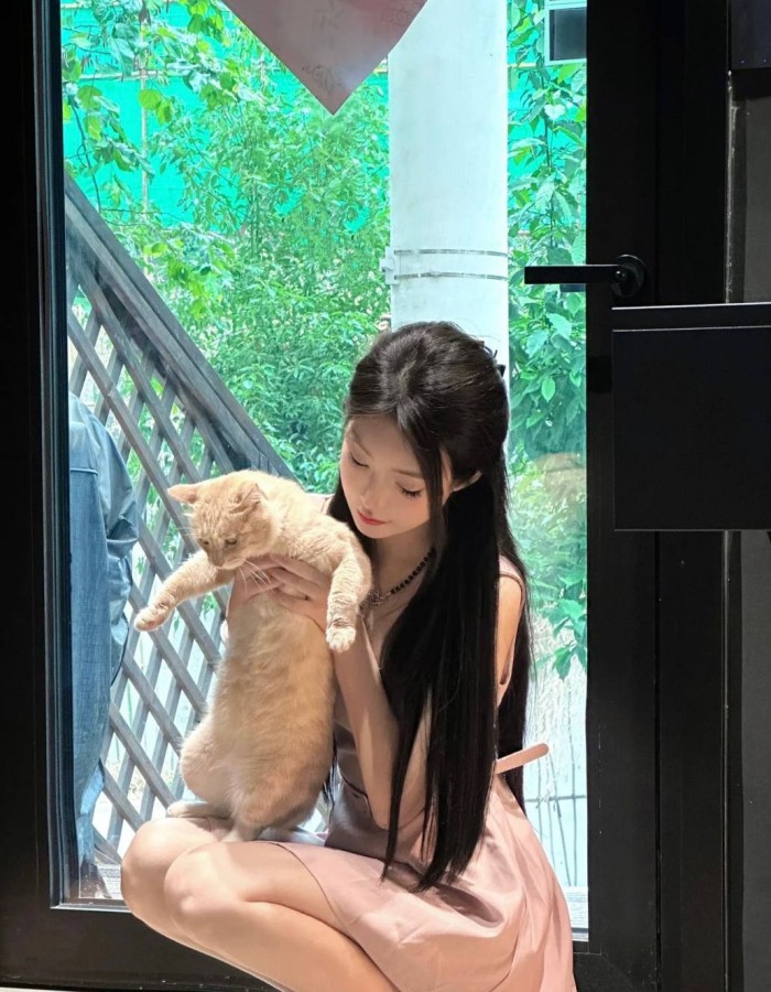 成全观看高清完整免费大全,手机免费看电影